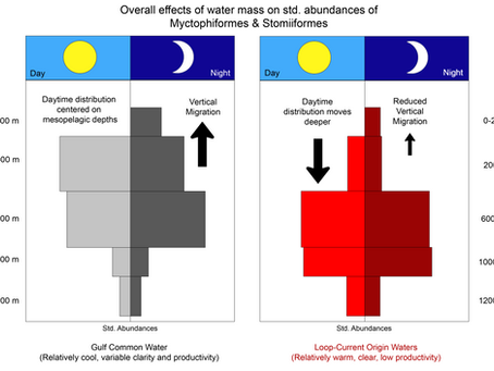 New paper on the effects of mesoscale eddies on mesopelagic fishes is out now in Progress in Oceanography