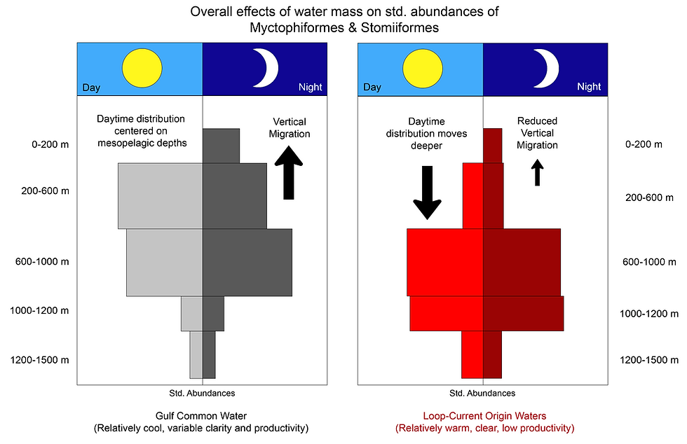 New paper on the effects of mesoscale eddies on mesopelagic fishes is out now in Progress in Oceanography