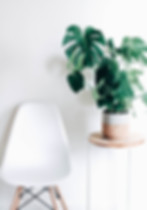 Plant in Edith Parinas, mortgage broker office in Ottawa Canada