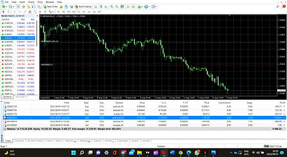Screenshot (365)_edited_edited.jpg