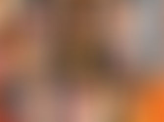O que o NOVO apresenta de novo?