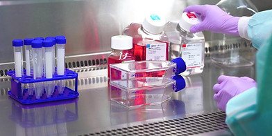 Bose Informatics biotech internship kolkata biotech lab kolkata Best Biotech Hands-on training kolkata biotech summer trainin