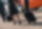 iStock-1171400374.jpg