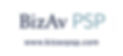 BizAv PSP