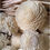 Thumbnail: Relaxing & Calming Reed Diffusers