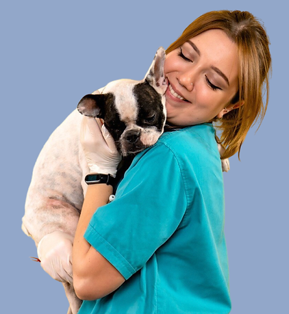 Consulta veterinaria preventiva para mascotas en Dogs and Love Bogota