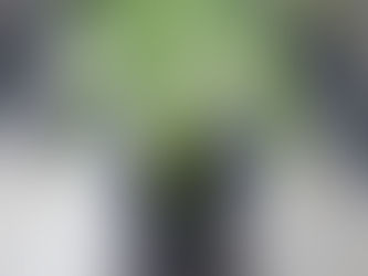 Full Spectrum Hemp Oil: Understanding the Entourage Effect