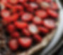 ★ Pizza Nutella e Morango.