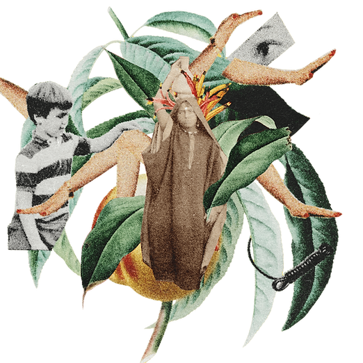 collage2.png