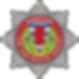 SFRS Badge (1).png