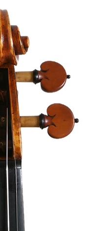 Violin-on-a-white-background-15