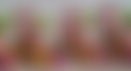 Distributing Food Parcels to the needy in Vaalwater, South Africa