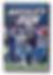 Buffalo's Run Book Cover by Joe-Marino