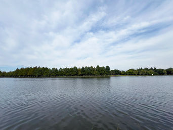 水元公園・小合溜