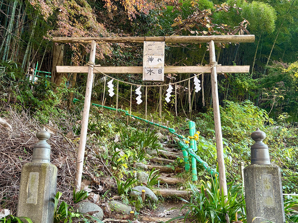 氷川神社の二代目ご神木へ