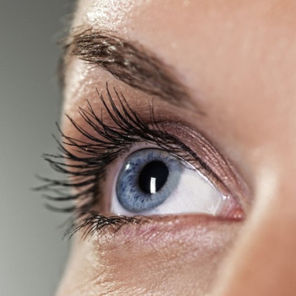 Eyelashes.jpg