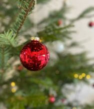 Merry Christmas !