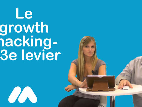 Le growth hacking – 13e levier – 13 leviers principaux du webmarketing – Vidéo for