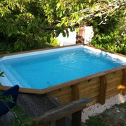 piscine-bois-semi-octogonale-difloisirs-37-39907790.jpeg