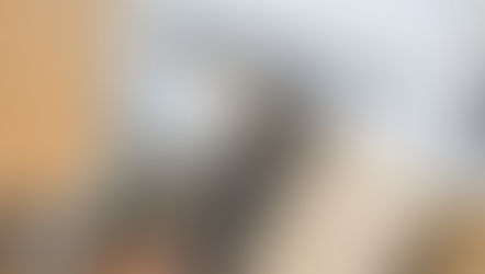 Quelles sont vos options pour vendre sur Amazon ?