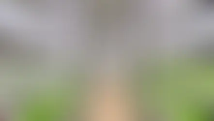 植物工場の写真