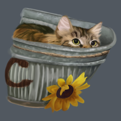 Dixie Illustration