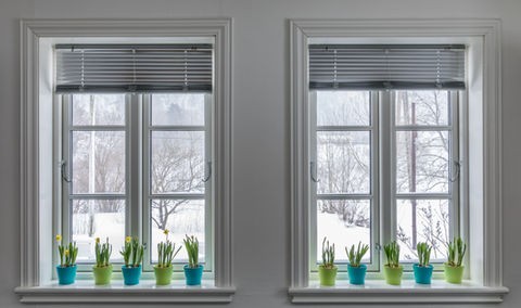 Matching windows with plants in colorful pots on the windowsill. 