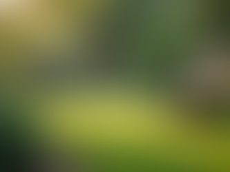 Boosting Your Mental Wellbeing: Enhancing Emotional Health for a Balanced Life