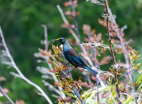 AdobeStock_1189681366.jpeg