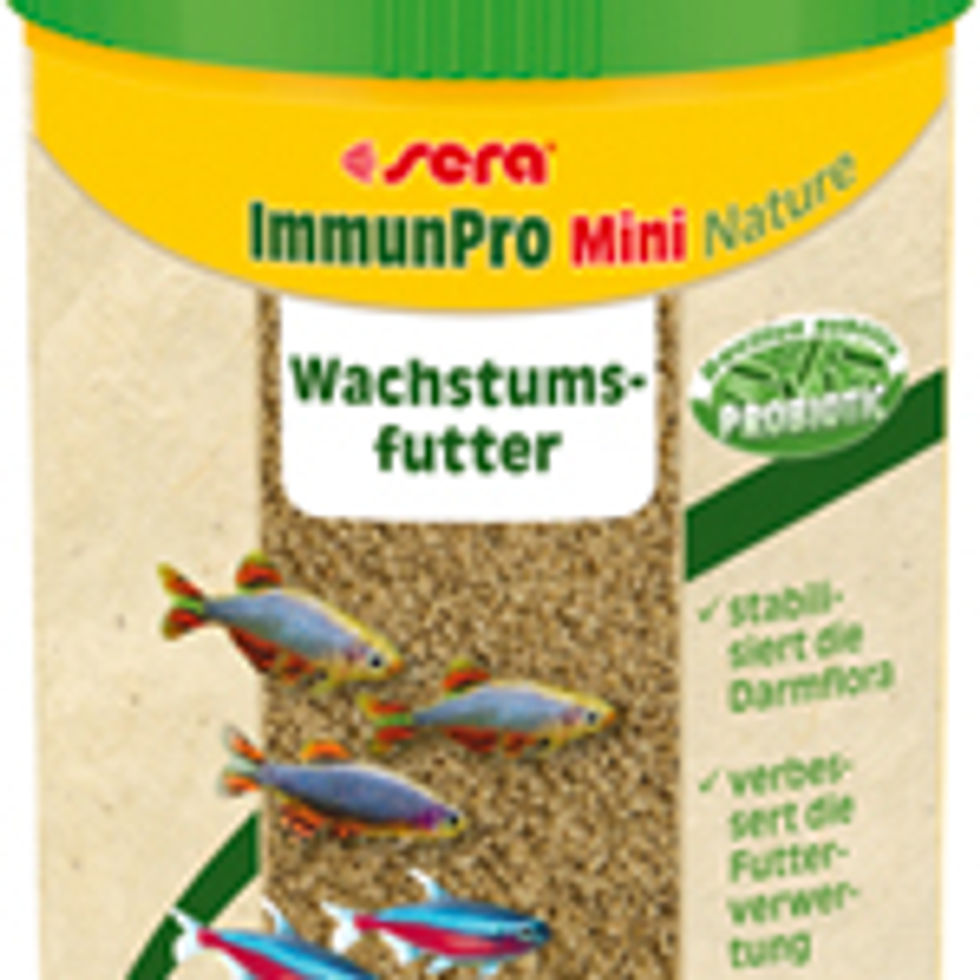 Miniatura: IMMUNE PROBIOTIC GRANULES XS 250ML (120G)