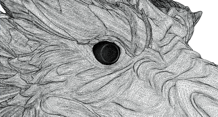 Background image of a 3d model 