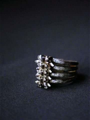 Ring with vertebrae in the center 
