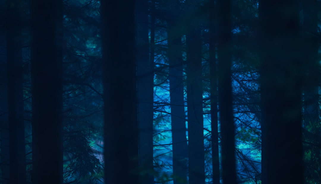 Instagram Cover 1-3.png