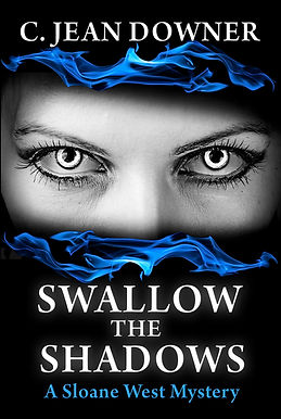 Swallow the Shadows draft (2).jpg