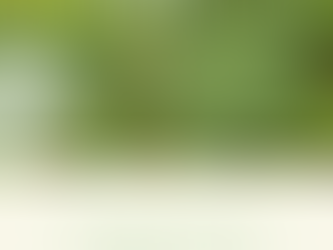 Enchanted Garden Haiku Journal