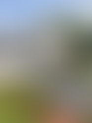 Paving Contractor: Picking the Right Companion for Your Task