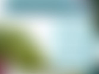 Benefits of Dog Sports