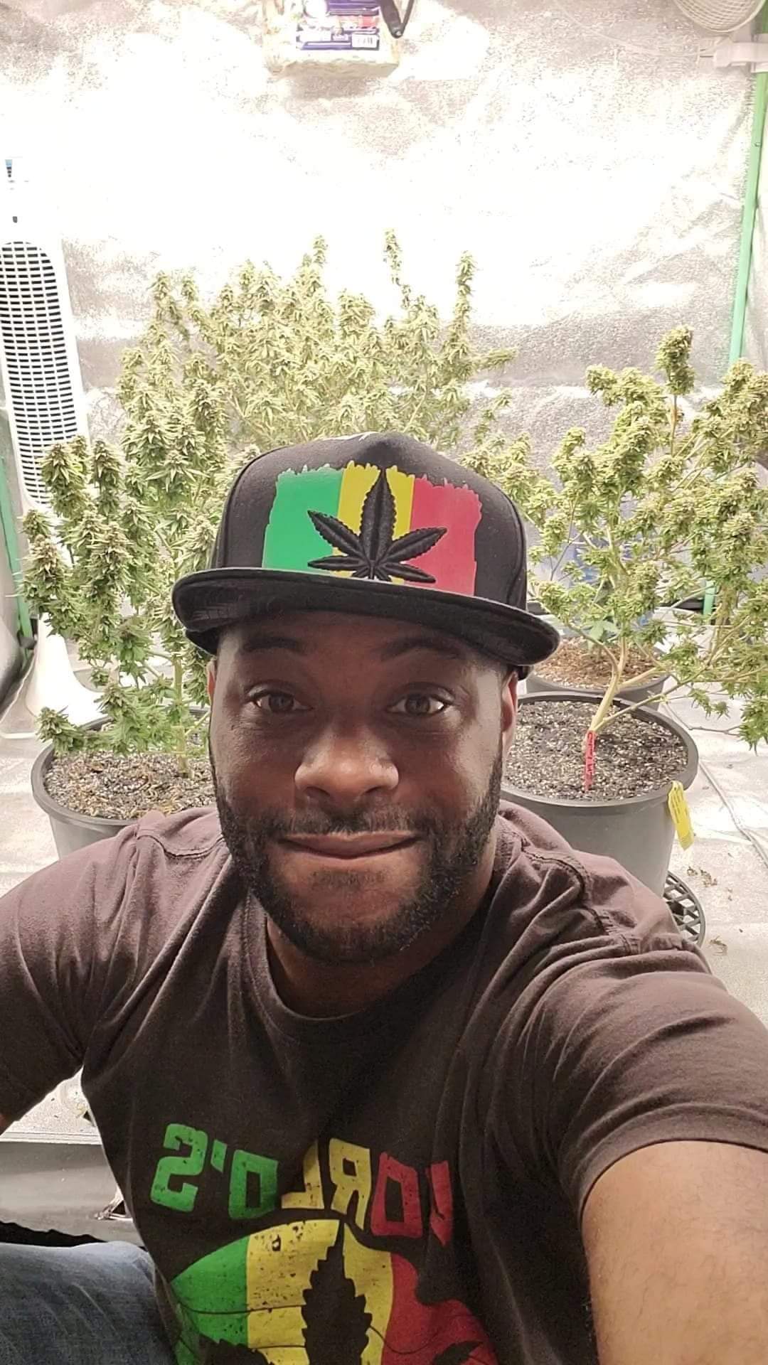 Writer: V9GROWS420