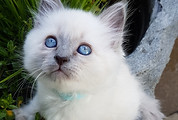 20200620_184651 sasou.jpg