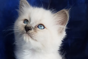 20190727_102946.jpg