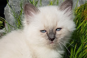 20200620_185825 sookie.jpg