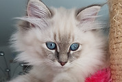 20201024_140808.jpg