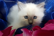 20190727_095208.jpg