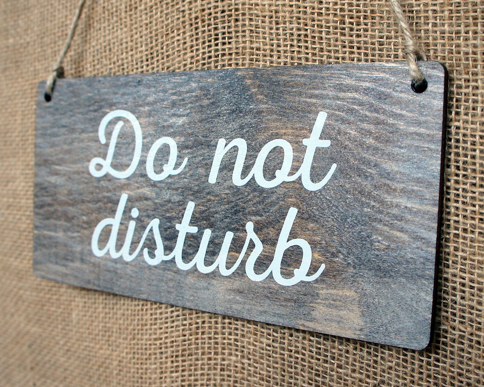 Do Not Disturb - wooden sign