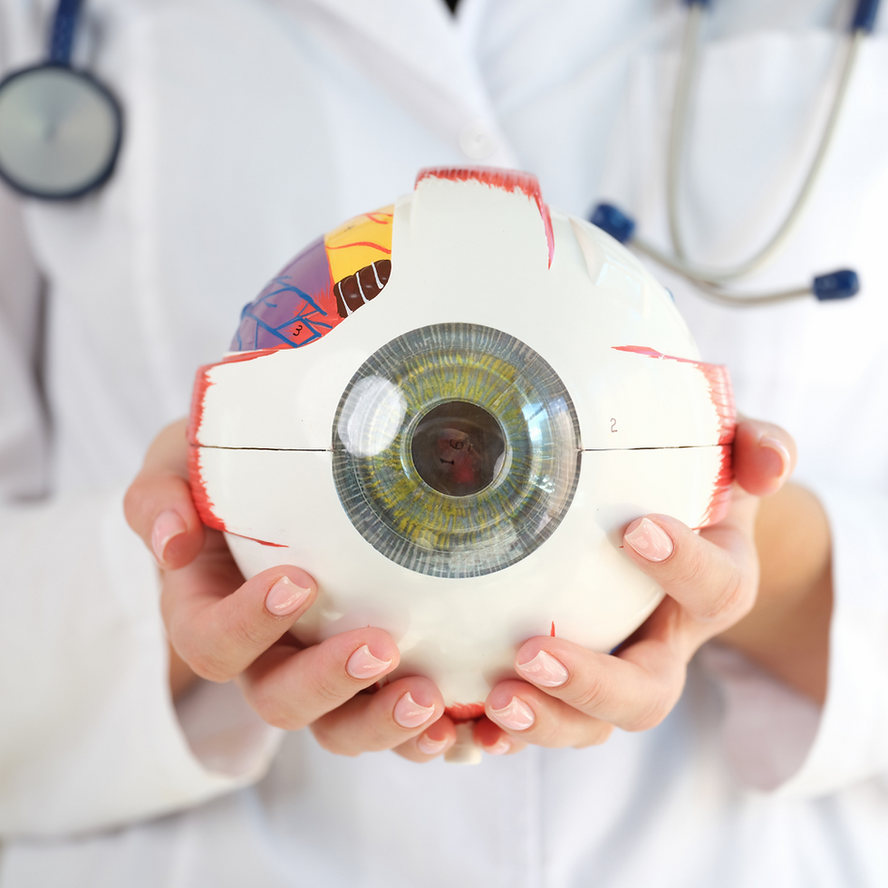 Doctor holding an eye model with visible in the background Optometry ophthalmology partnership dry eye specialist