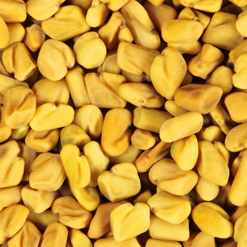 Fenugreek Seeds (Methi Dana)