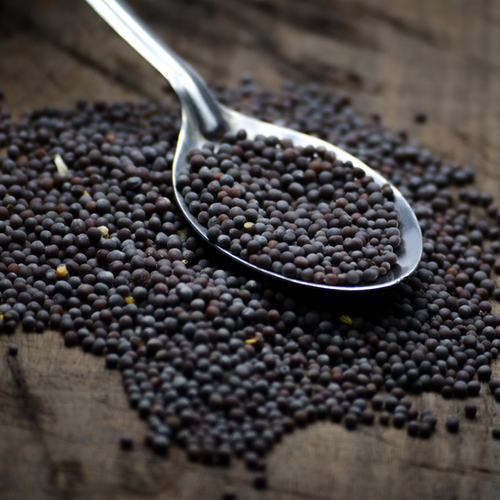 Black Mustard Seeds