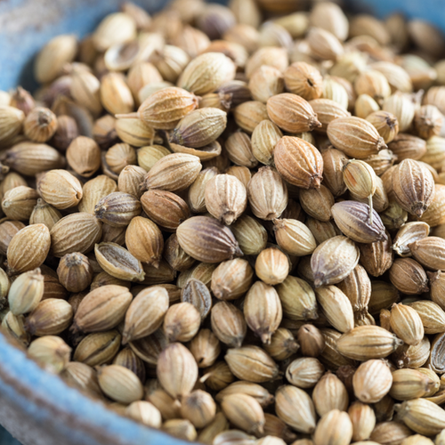 Coriander Seeds