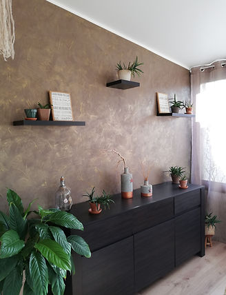 Photo Rénovation Véranda