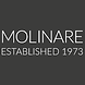 molinare logo.png